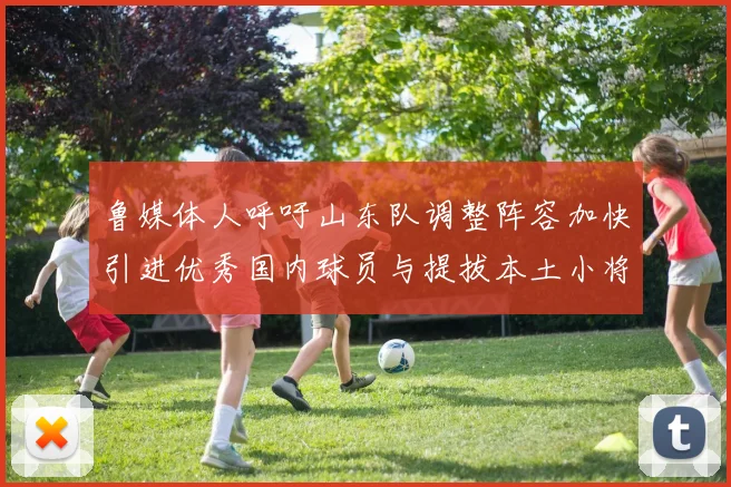 鲁媒体人呼吁山东队调整阵容加快引进优秀国内球员与提拔本土小将
