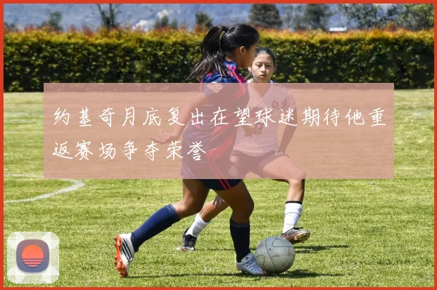 约基奇月底复出在望球迷期待他重返赛场争夺荣誉